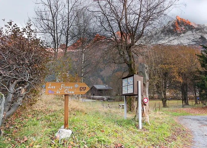 Les Fleurs De Cham - Jardin Vues - Renove Appartement Chamonix