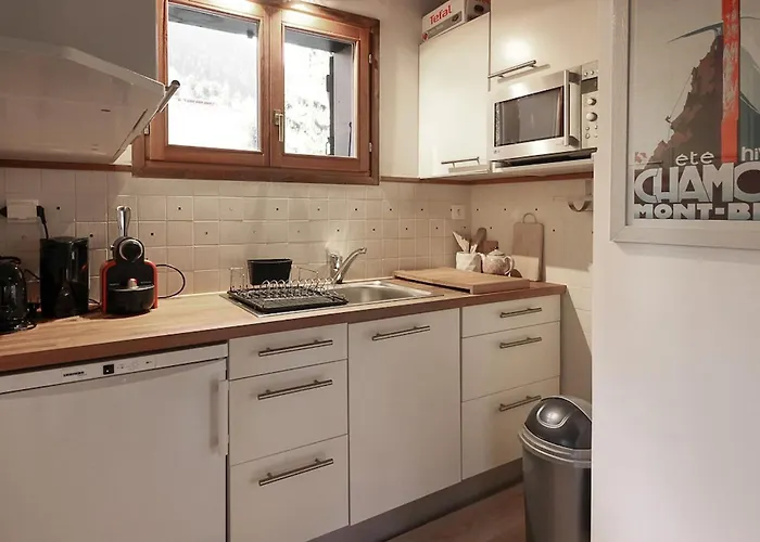 아파트 Les Fleurs De Cham - Jardin Vues - Renove 샤모니